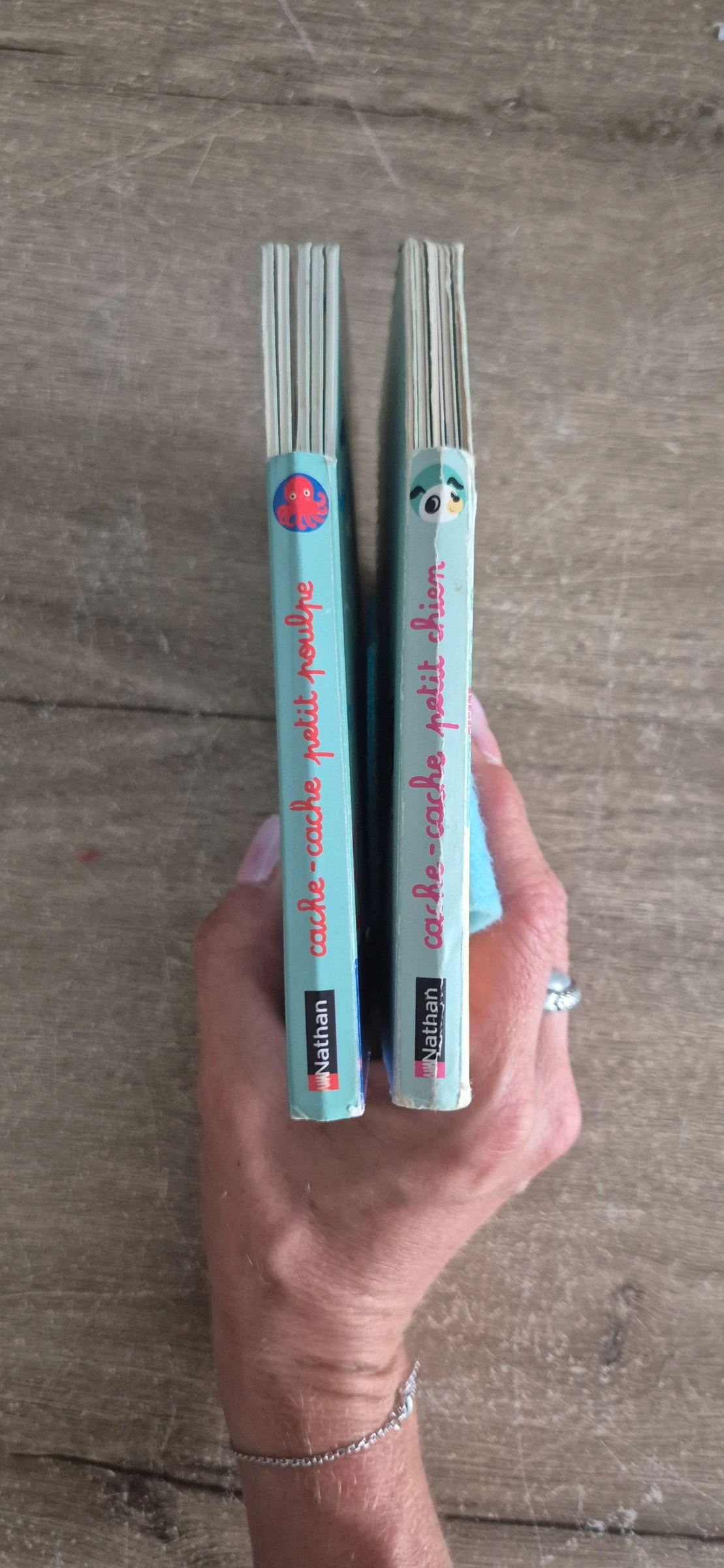 Lote de livros Cache-cache em feltro – photo 12
